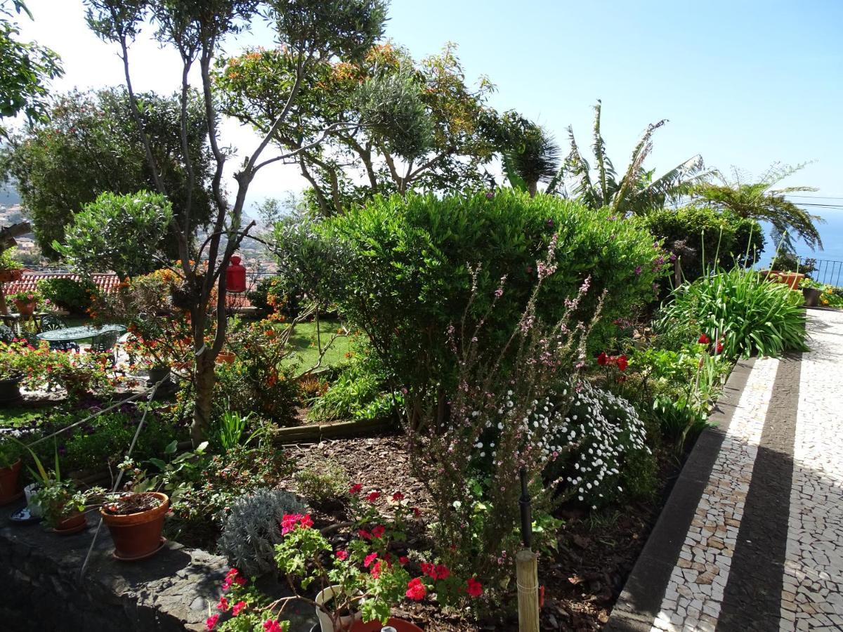 La Chambre De Ker Briac Funchal  Exteriör bild