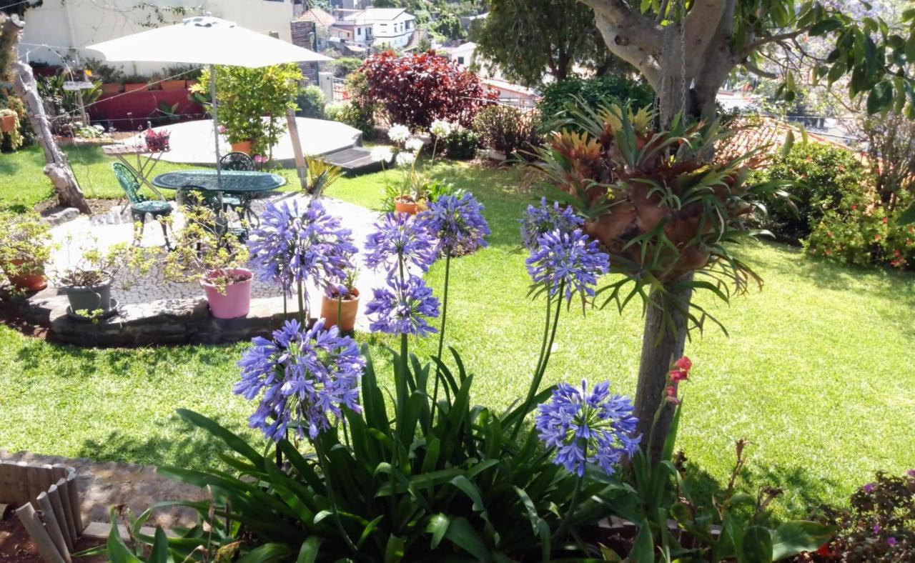 La Chambre De Ker Briac Funchal  Exteriör bild