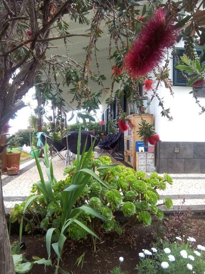 La Chambre De Ker Briac Funchal  Exteriör bild