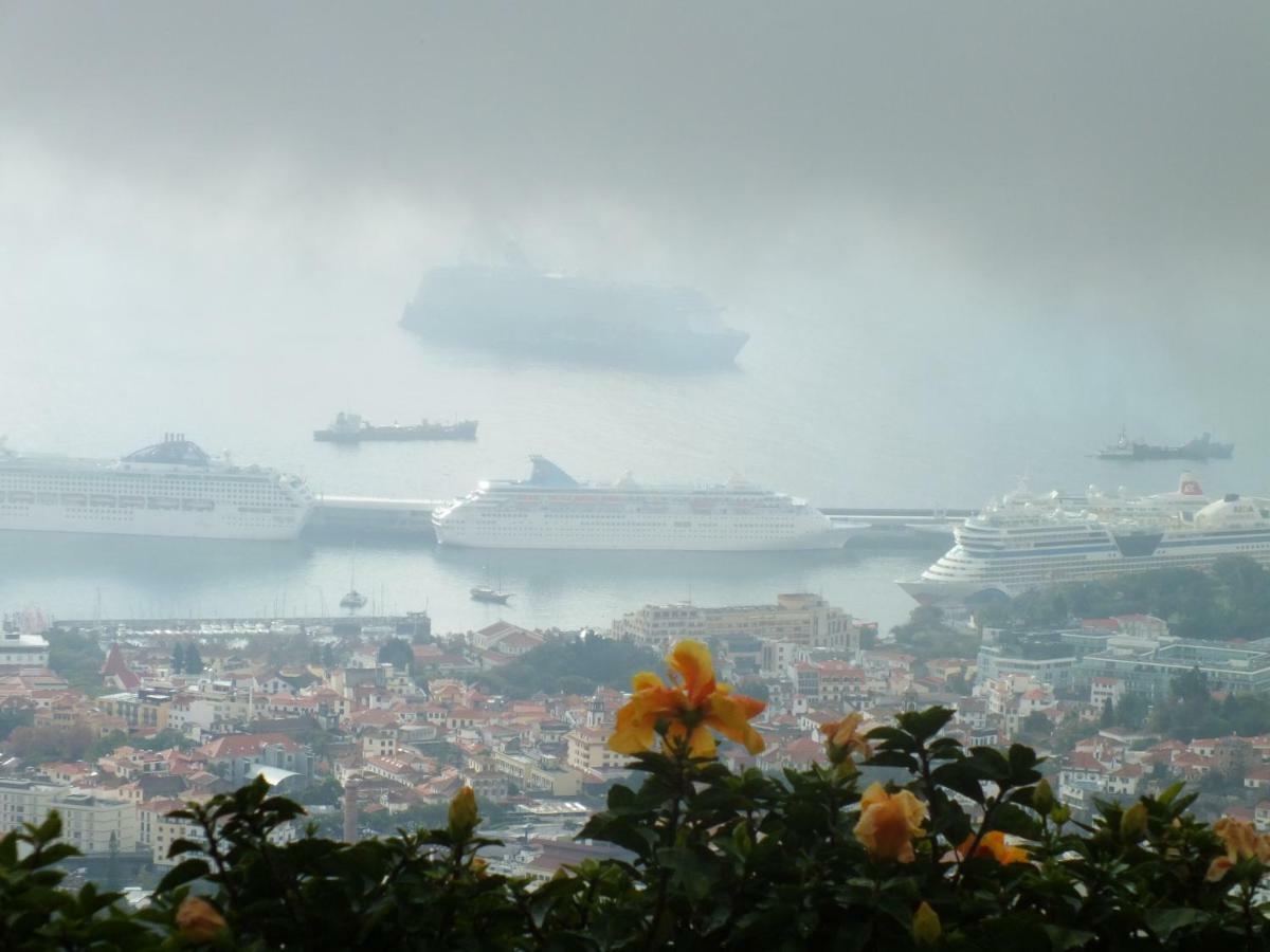 La Chambre De Ker Briac Funchal  Exteriör bild